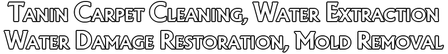 water damage restoration chicago