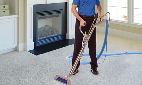 Tanin Carpet Cleaning Lincolnshire, IL 60069 Tanin Carpet Cleaning Lincolnshire