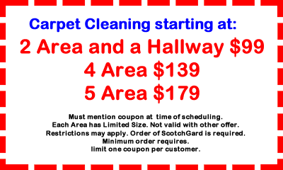 Tanin Carpet Cleaning Coupon