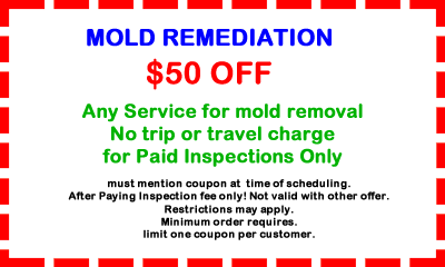 Tanin Mold Remediation Coupon